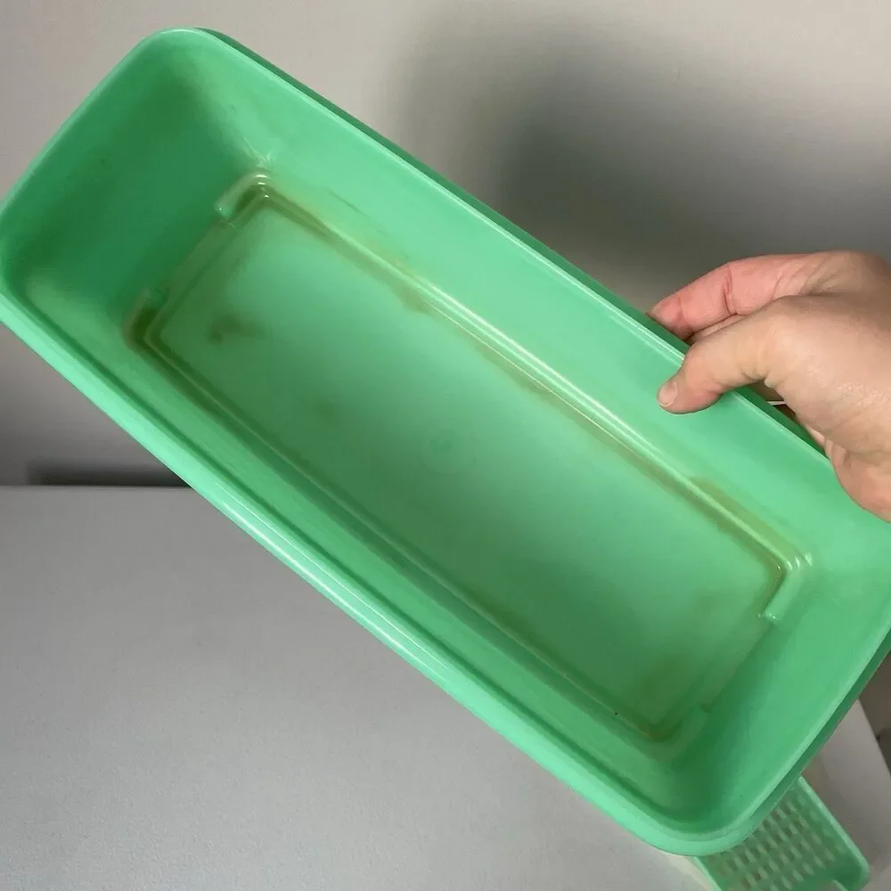 Vintage Tupperware Jade Green Celery Vegetable Keeper Crisper With Tray USA